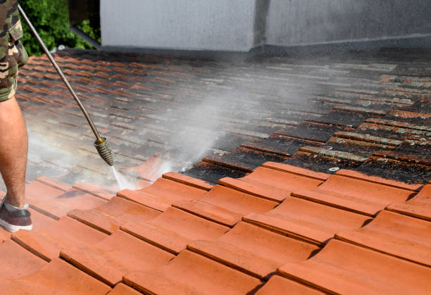 Best House Pressure Washing  in Algonac, MI