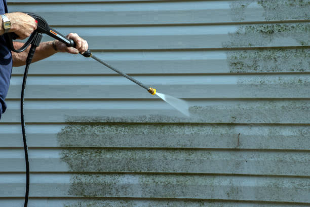 Best Pressure Washing Company Near Me  in Algonac, MI