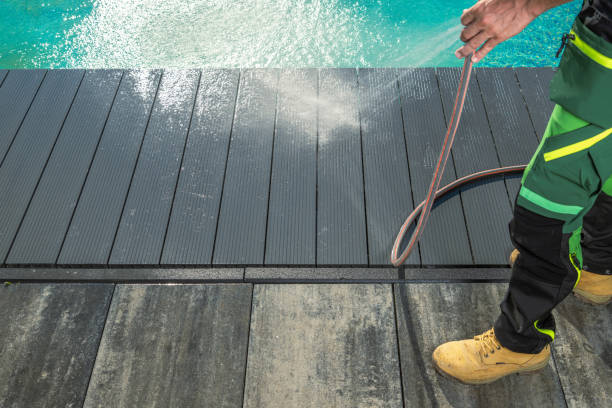 Best Roof Power Washing Services  in Algonac, MI