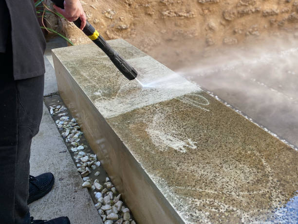 Best Exterior Home Cleaning  in Algonac, MI