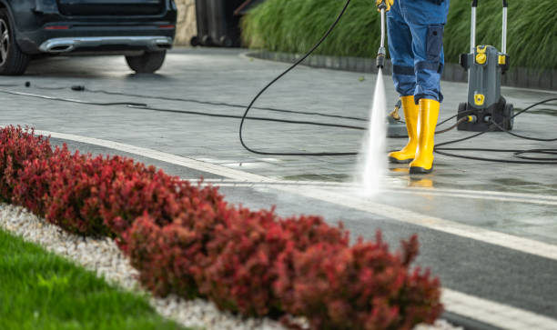 Best Fence Pressure Washing  in Algonac, MI
